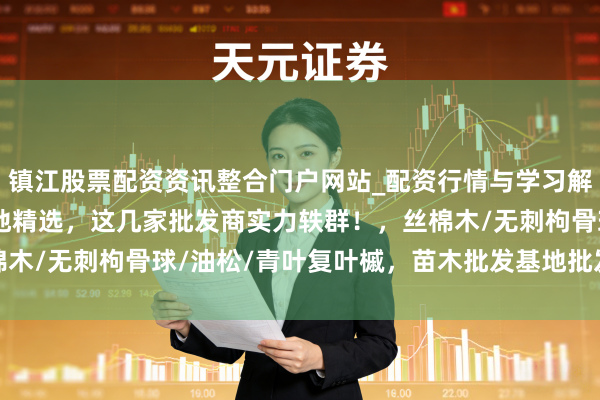 镇江股票配资资讯整合门户网站_配资行情与学习解析 2025苗木批发基地精选,这几家批发商实力轶群!,丝棉木/无刺枸骨球/油松/青叶复叶槭,苗木批发基地批发商推选分析